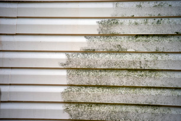 Best Demolition Debris Removal  in Calverton Park, MO